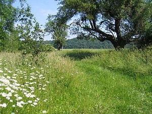 Countryside near the Lenches