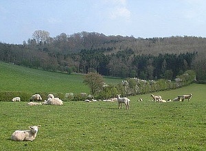 Countryside near Rous Lench