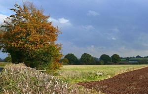 Countryside near Radford